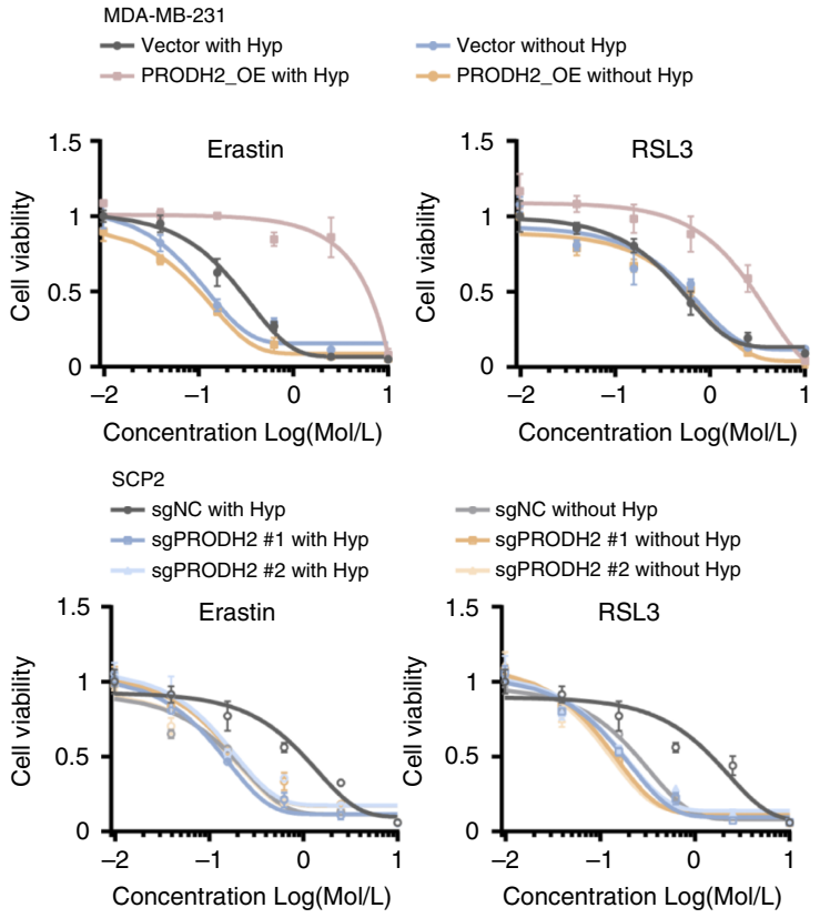 Experimental Validation Results for RSL3
