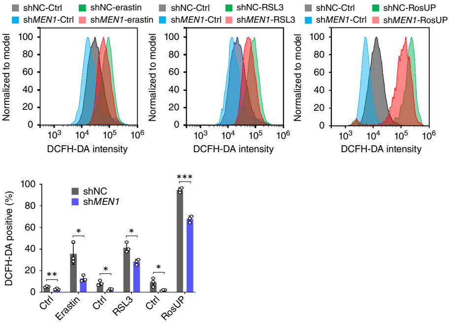 Experimental Validation Results for RSL3
