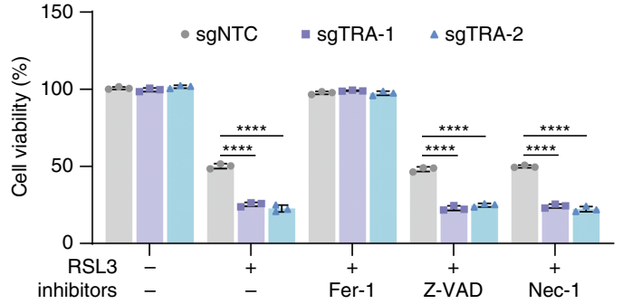 Experimental Validation Results for RSL3