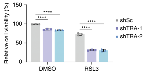 Experimental Validation Results for RSL3