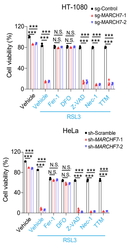 Experimental Validation Results for RSL3