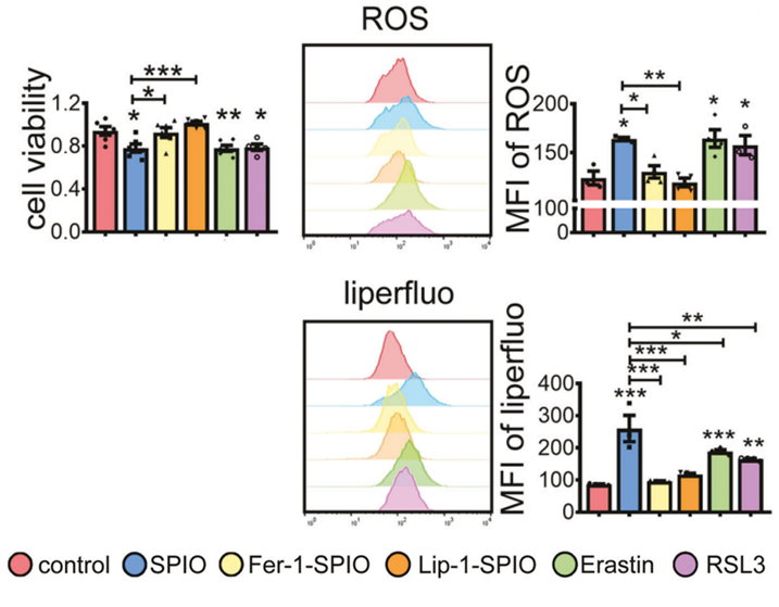 Experimental Validation Results for RSL3