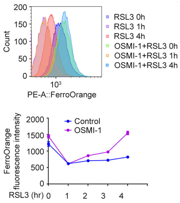 Experimental Validation Results for RSL3