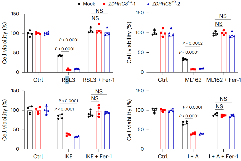 Experimental Validation Results for RSL3