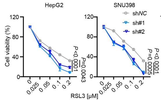 Experimental Validation Results for RSL3
