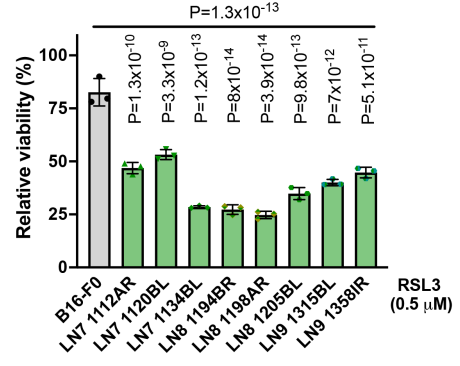 Experimental Validation Results for RSL3