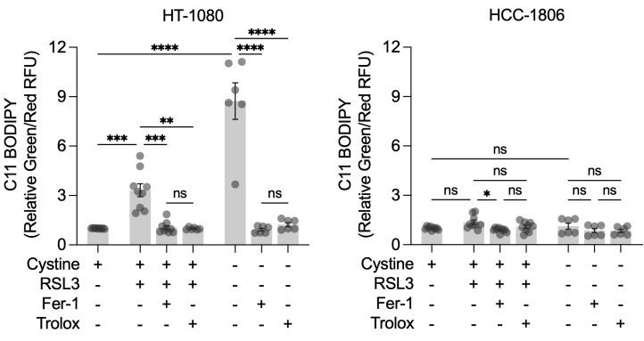 Experimental Validation Results for RSL3