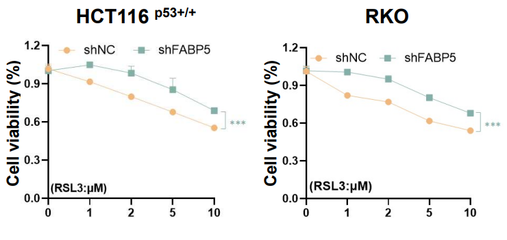 Experimental Validation Results for RSL3