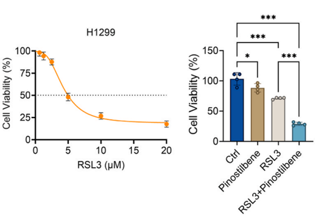 Experimental Validation Results for RSL3
