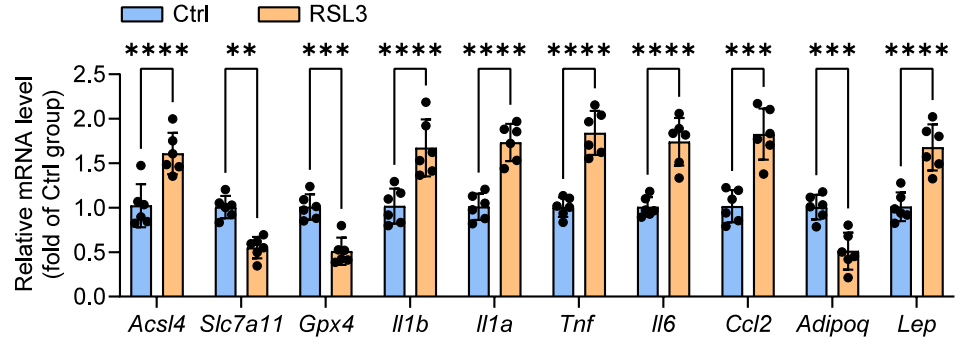 Experimental Validation Results for RSL3