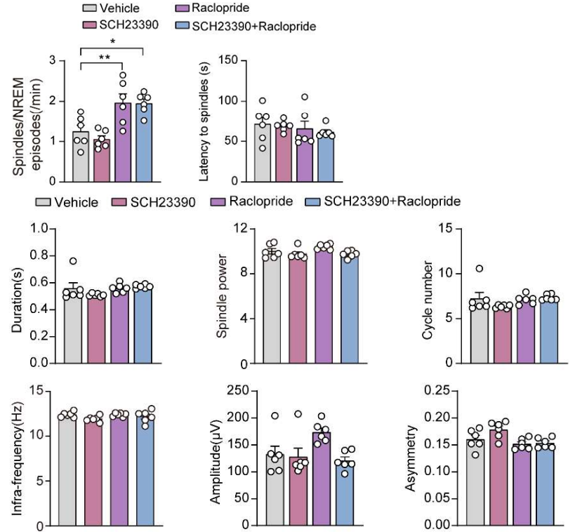 Experimental Validation Results for Raclopride