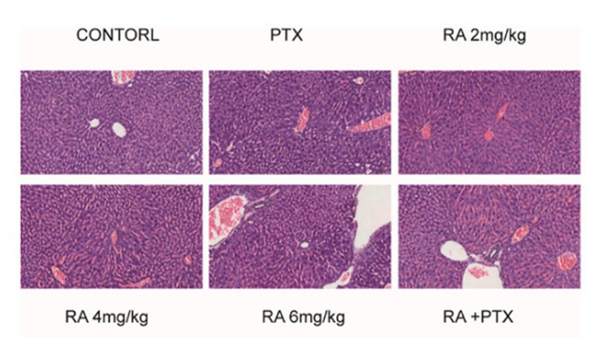 Experimental Validation Results for Raddeanin A