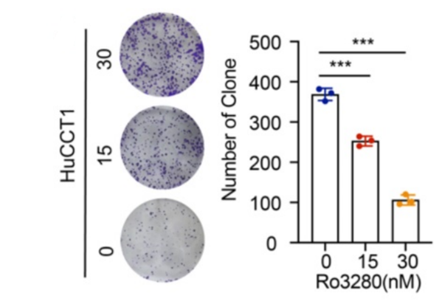 Experimental Validation Results for Ro3280