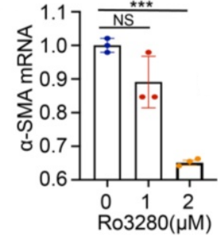 Experimental Validation Results for Ro3280