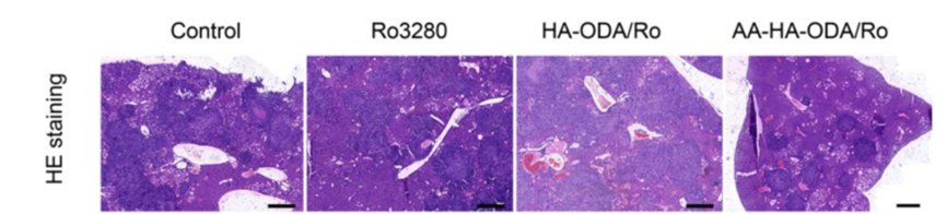 Experimental Validation Results for Ro3280