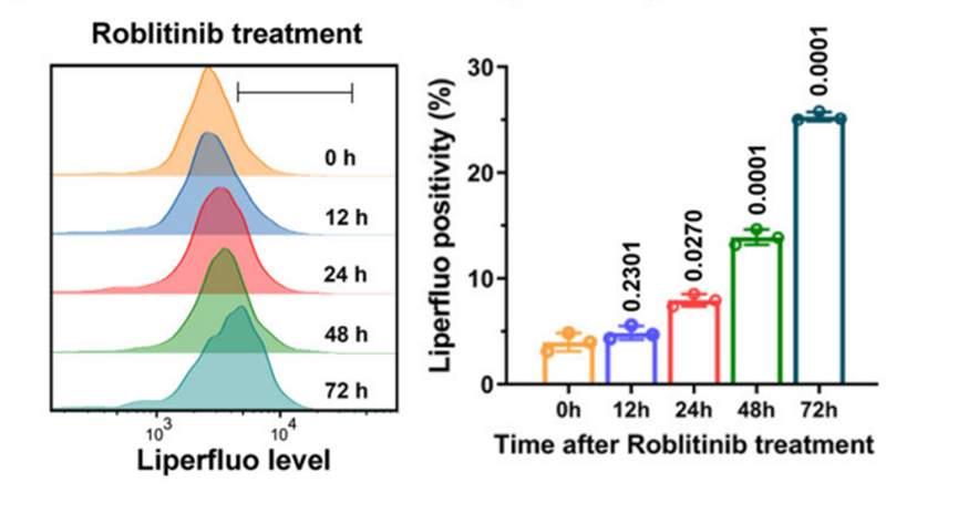Experimental Validation Results for Roblitinib