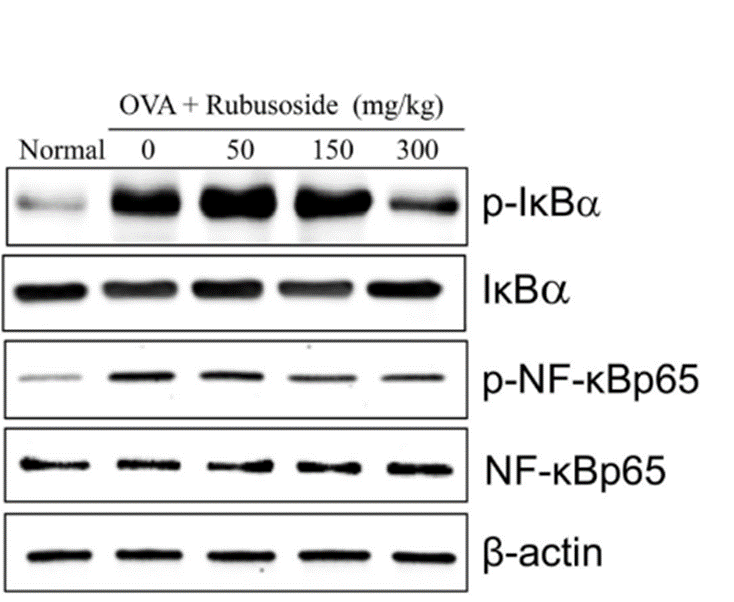 Experimental Validation Results for Rubusoside
