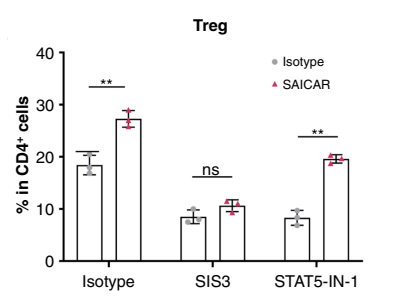 Experimental Validation Results for SAICAR