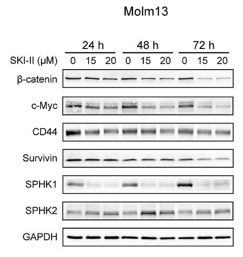 Experimental Validation Results for SKI II
