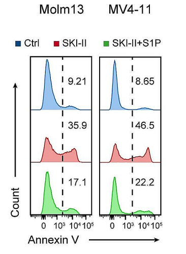 Experimental Validation Results for SKI II