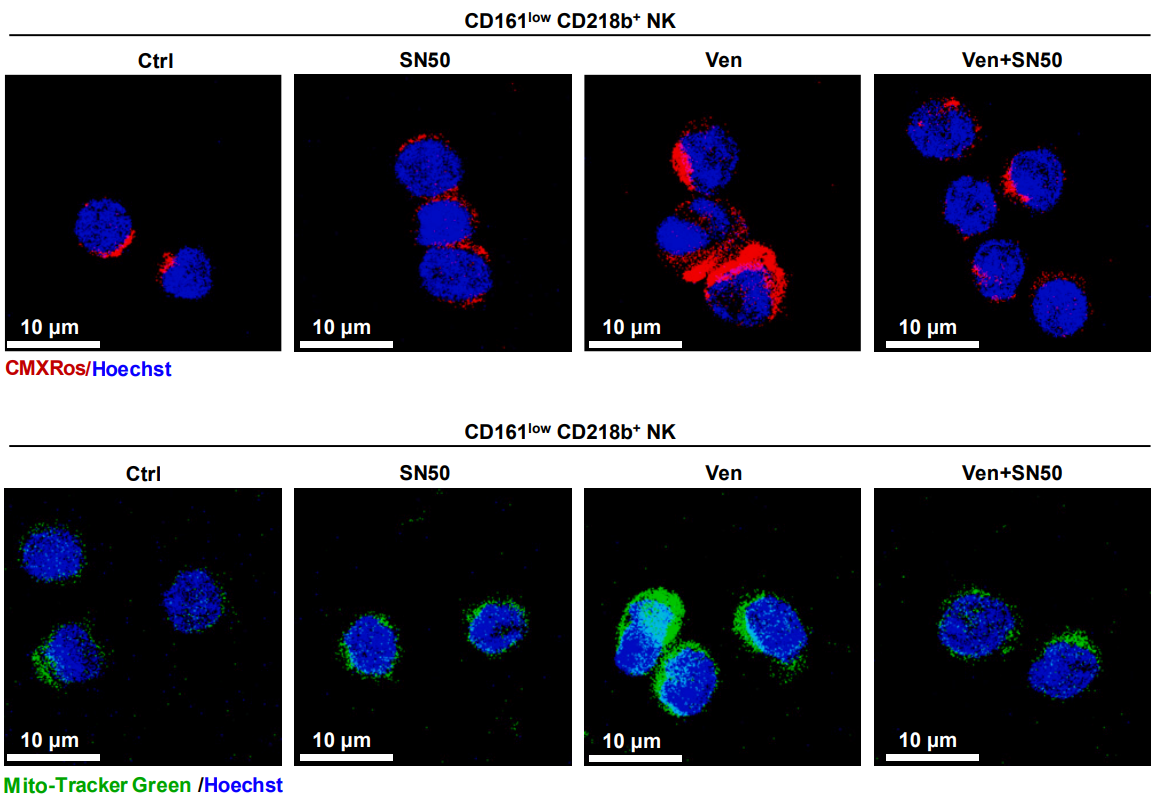 Experimental Validation Results for SN50