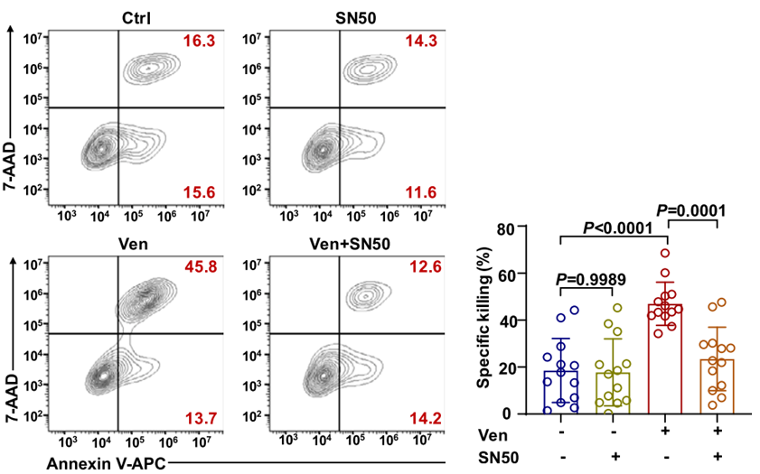 Experimental Validation Results for SN50