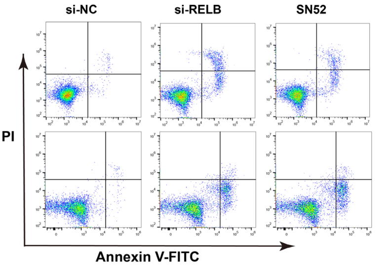 Experimental Validation Results for SN52