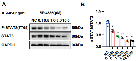 Experimental Validation Results for SR3335