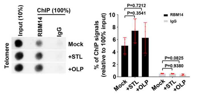 Experimental Validation Results for STL127705