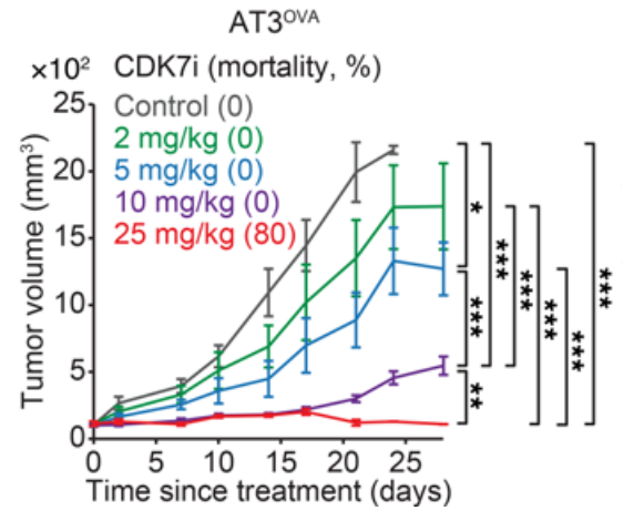 SY-5609 (CDK7-IN-3) | CDK7 Inhibitor | MedChemExpress