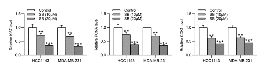 Experimental Validation Results for Sennoside B
