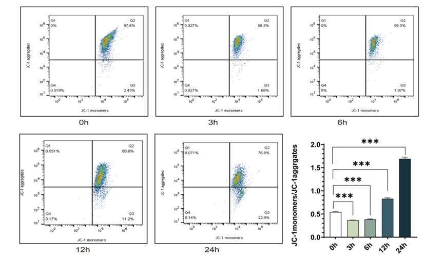 Experimental Validation Results for Sodium aescinate