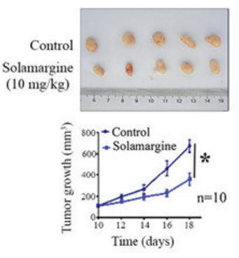 Experimental Validation Results for Solamargine