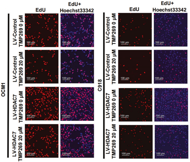 Experimental Validation Results for TMP269