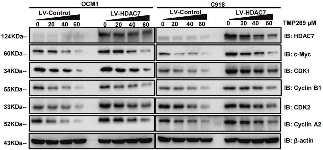 Experimental Validation Results for TMP269
