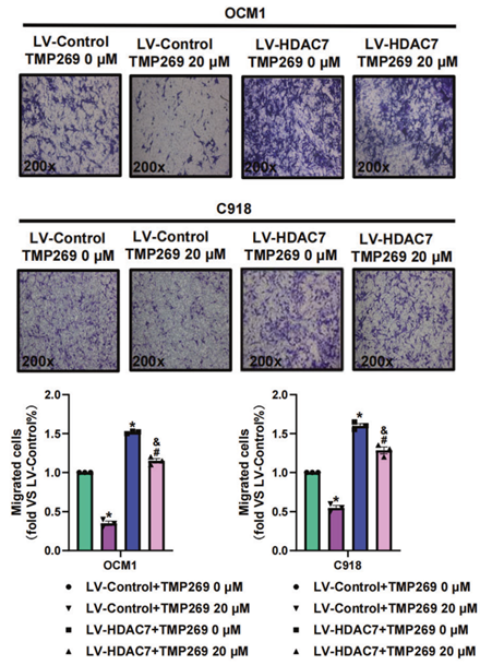 Experimental Validation Results for TMP269