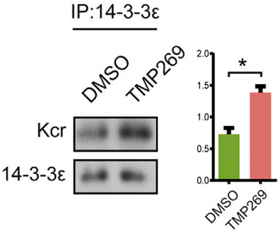 Experimental Validation Results for TMP269