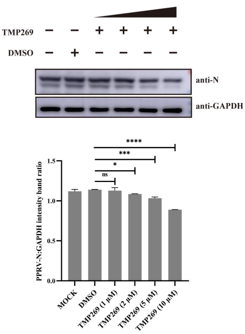 Experimental Validation Results for TMP269