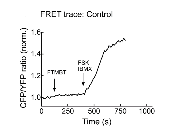 Experimental Validation Results for TP-024