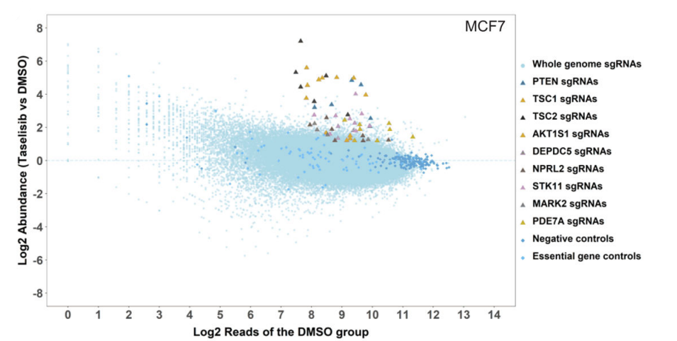 Experimental Validation Results for Taselisib