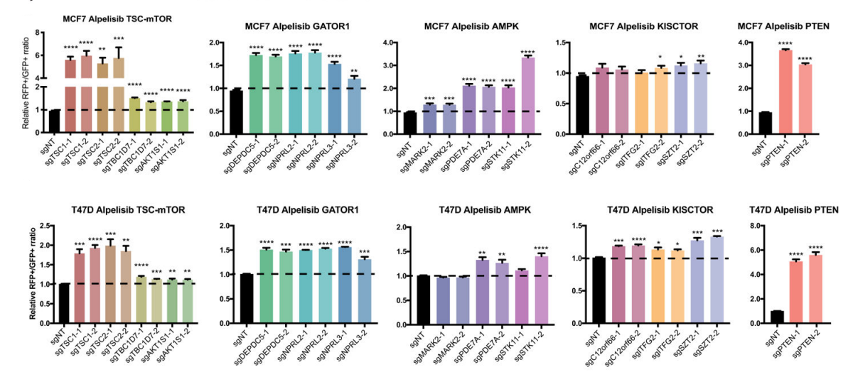 Experimental Validation Results for Taselisib