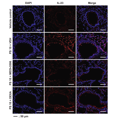 Experimental Validation Results for Tozorakimab
