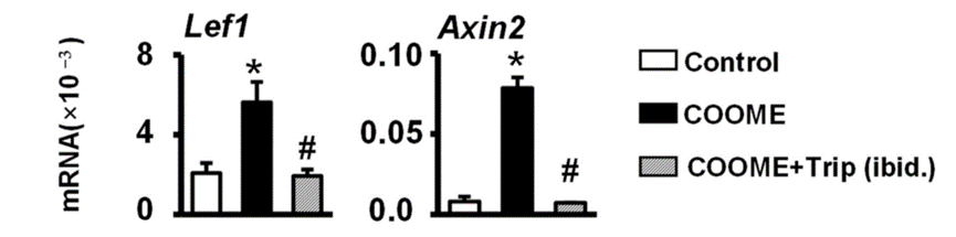 Experimental Validation Results for Triptonide