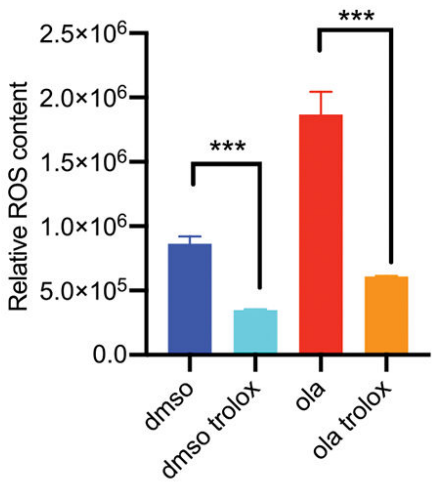 Experimental Validation Results for Trolox