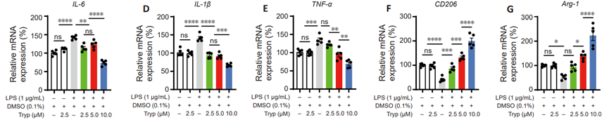 Experimental Validation Results for Tryptanthrin