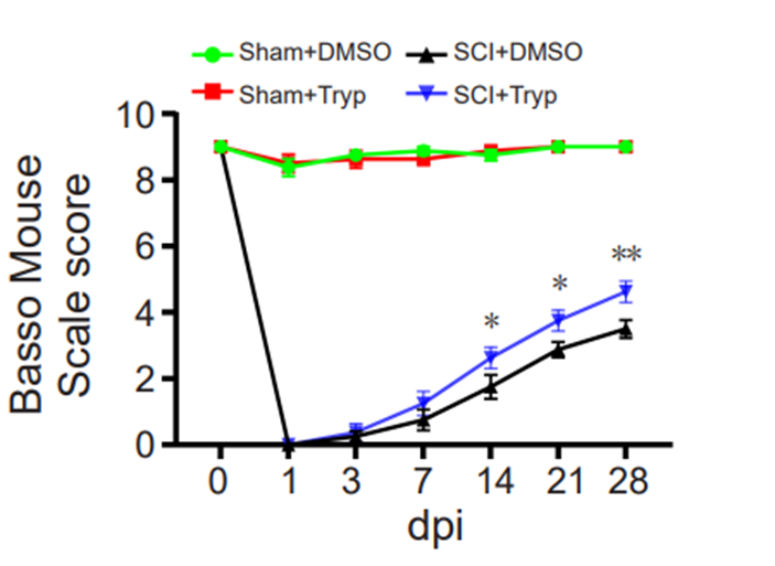 Experimental Validation Results for Tryptanthrin