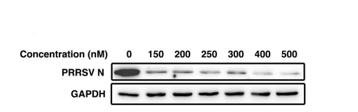 Experimental Validation Results for Tubercidin