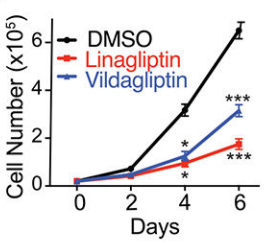 Experimental Validation Results for Vildagliptin