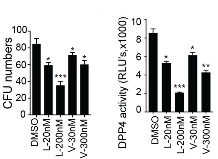 Experimental Validation Results for Vildagliptin