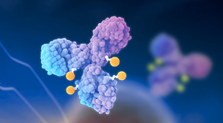 Advances in Antibody-Drug Conjugates (ADCs) for Targeted Cancer Therapy